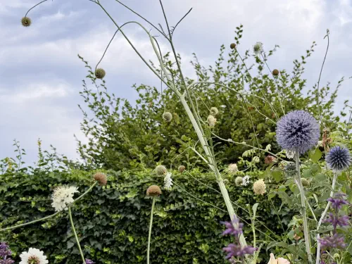 Uitgevoerd ontwerp voor een natuurlijke, klimaatbestendige en bijenvriendelijke privétuin.